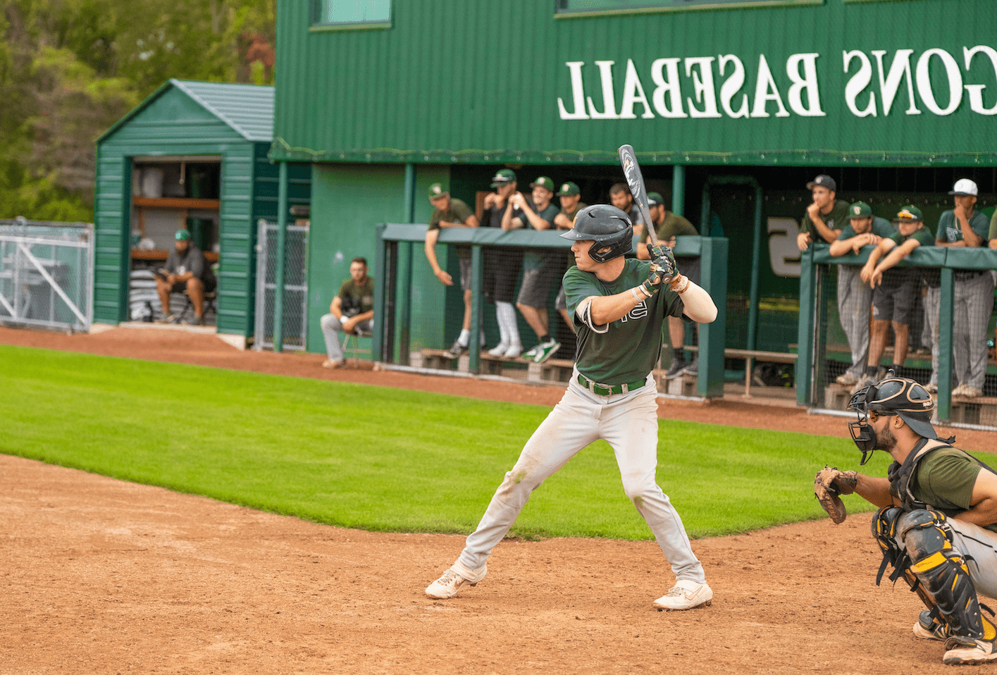 baseball player at bat